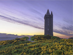 Scrabo Tower Unframed