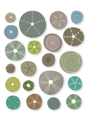 Sea Urchins In Naturals Unframed