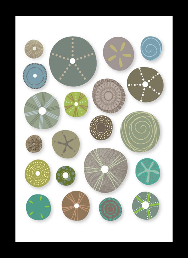 Sea Urchins In Naturals Framed