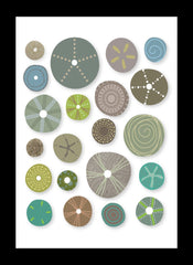 Sea Urchins In Naturals Framed