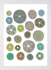 Sea Urchins In Naturals White Frame