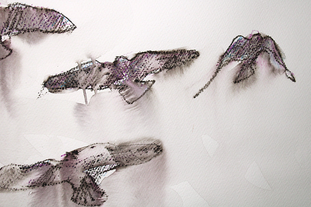 Original - 7 Crows