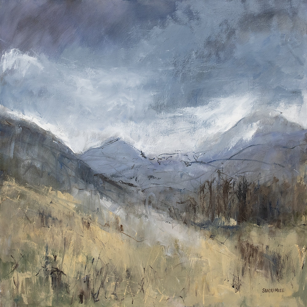 Print - Shadows Of Summer Clouds, Silent Valley