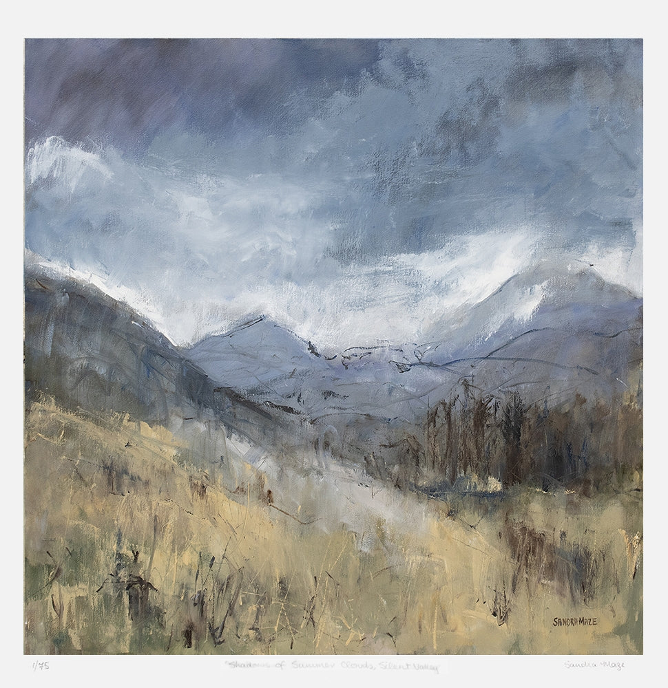 Print - Shadows Of Summer Clouds, Silent Valley Unframed