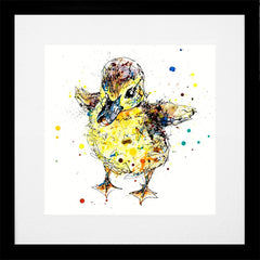 Print Open Edition Animals - Sherbet-30 x 30-Black Box Frame (With Mount)