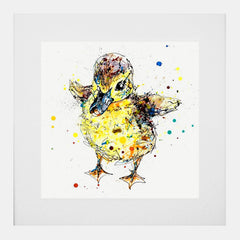 Print Open Edition Animals - Sherbet-30 x 30-White Box Frame (With Mount)