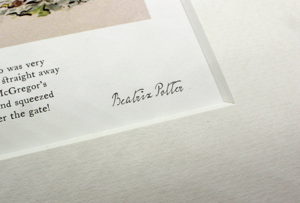 Peter Rabbit - Benjamin Suggested