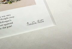 Peter Rabbit - Peter Let the Handkerchief Go