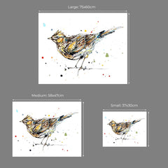 Print Ltd Edition The Ireland Collection - Skylark