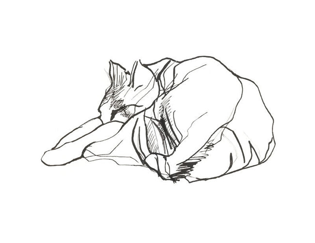 Sleeping Cat I