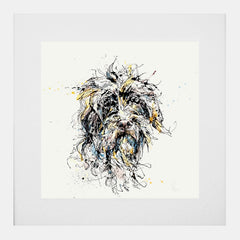 Print Open Edition Animals - Slippers-30 x 30-White Box Frame (With Mount)