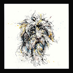 Print Open Edition Animals - Slippers-30 x 30-Black Box Frame (No Mount)