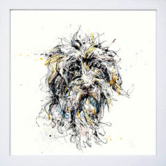 Print Open Edition Animals - Slippers-30 x 30-White Box Frame (No Mount)