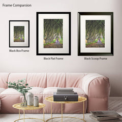 Co Antrim - Quiet Day Portrush