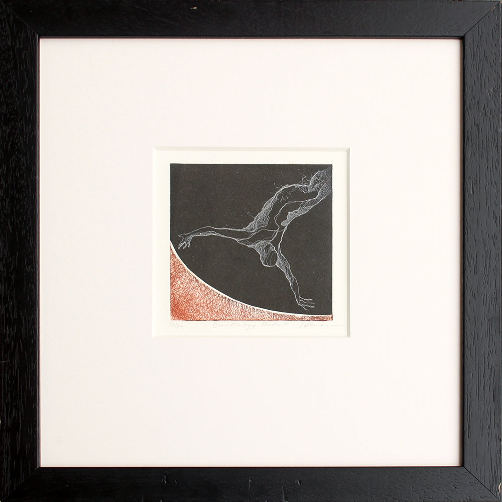 Ornithology III - Framed