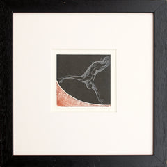 Ornithology III - Framed