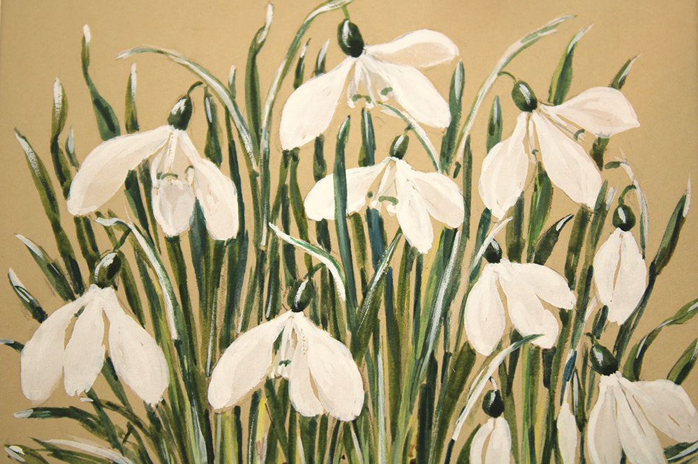 Snowdrops II