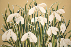 Snowdrops II