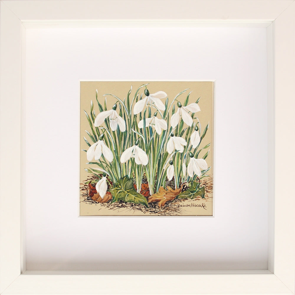 Snowdrops II - Framed