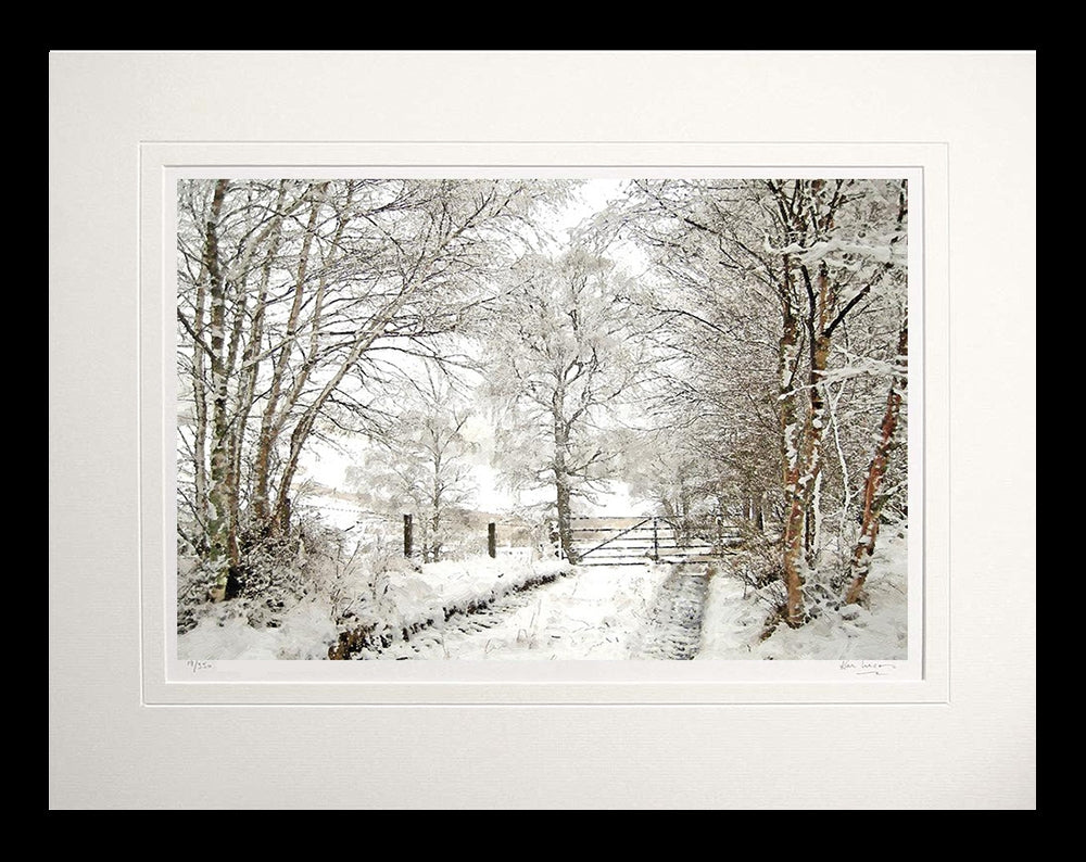 Other - Snowfall in the Birchwood Flat Black Frame