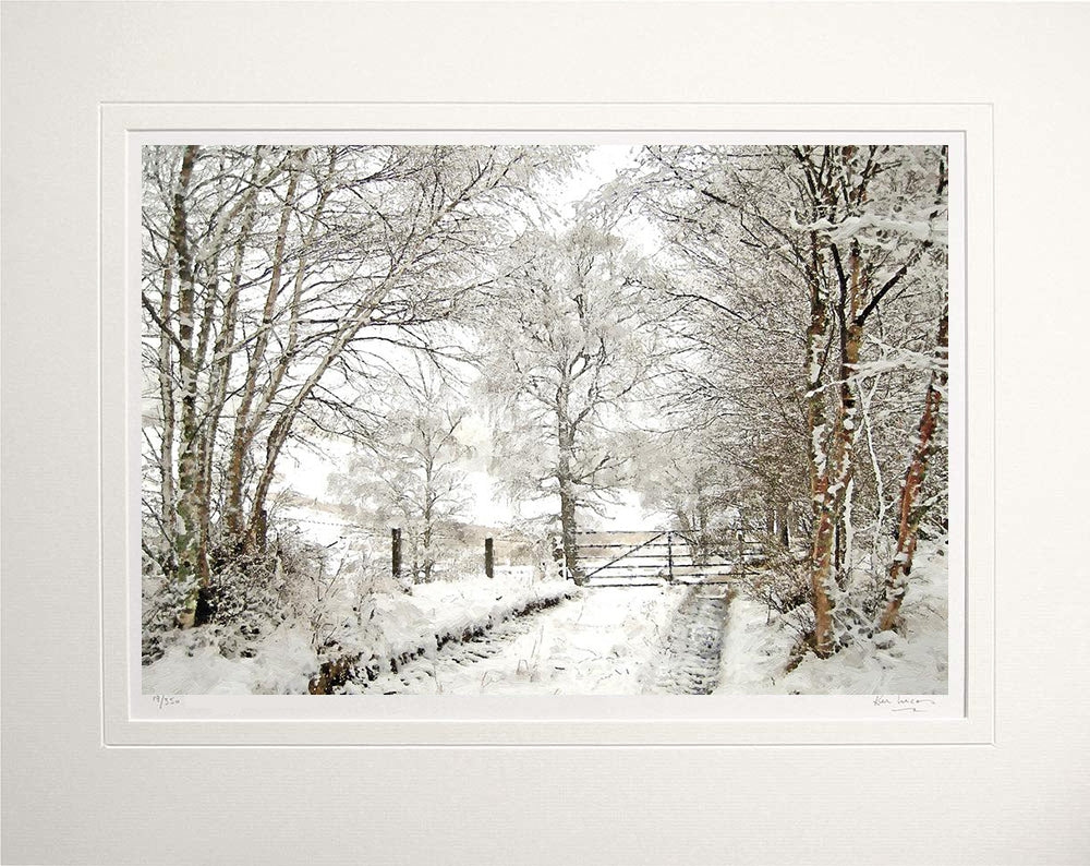 Other - Snowfall in the Birchwood Unframed 60x47.5