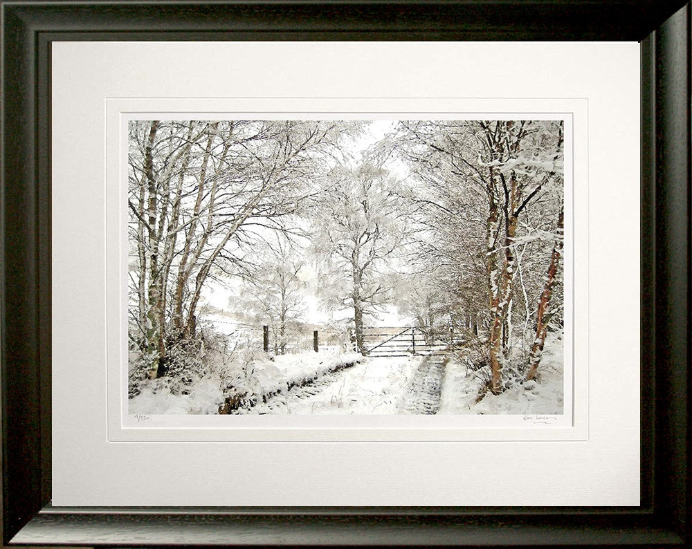 Other - Snowfall in the Birchwood Frame Black Moulded 60x47.5