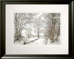 Other - Snowfall in the Birchwood Frame Black Moulded 60x47.5