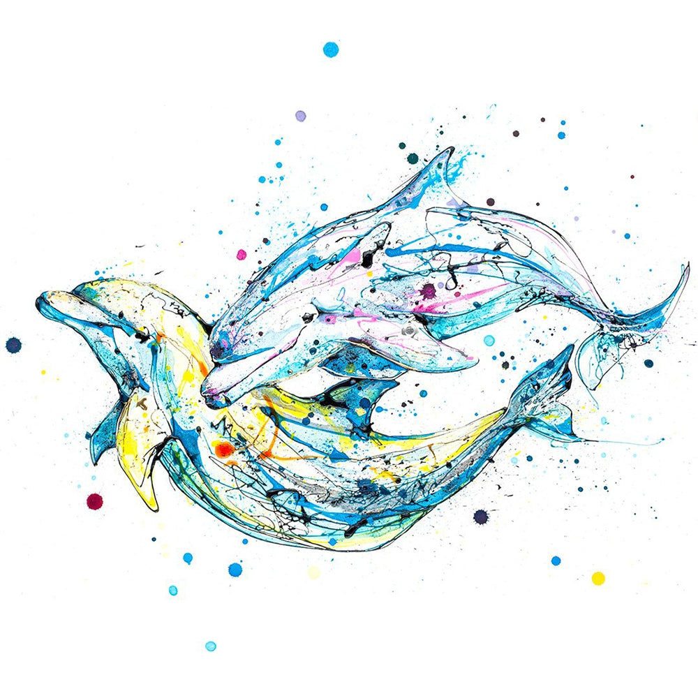 Print Ltd Edition Animals - Splash