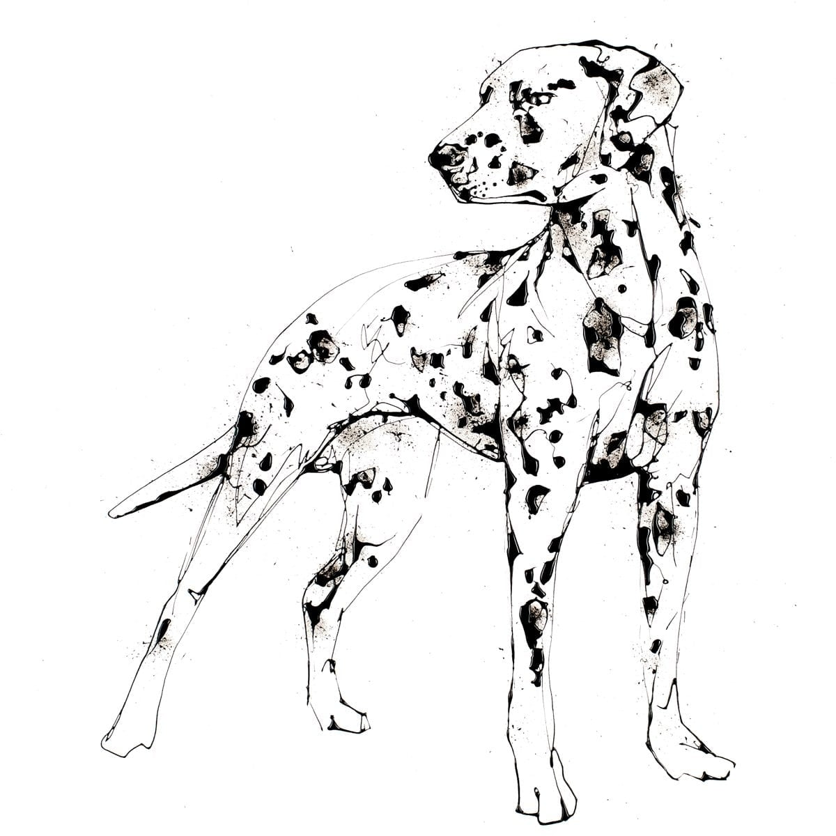 Print Open Edition Animals - Spots Unframed