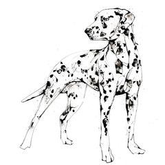 Print Open Edition Animals - Spots Unframed