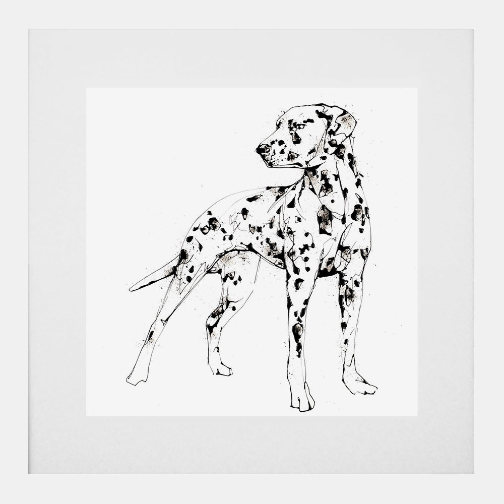 Print Open Edition Animals - Spots-Available In One Size Only-White Box Frame (With Mount)