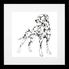Print Open Edition Animals - Spots-Available In One Size Only-Black Box Frame (With Mount)