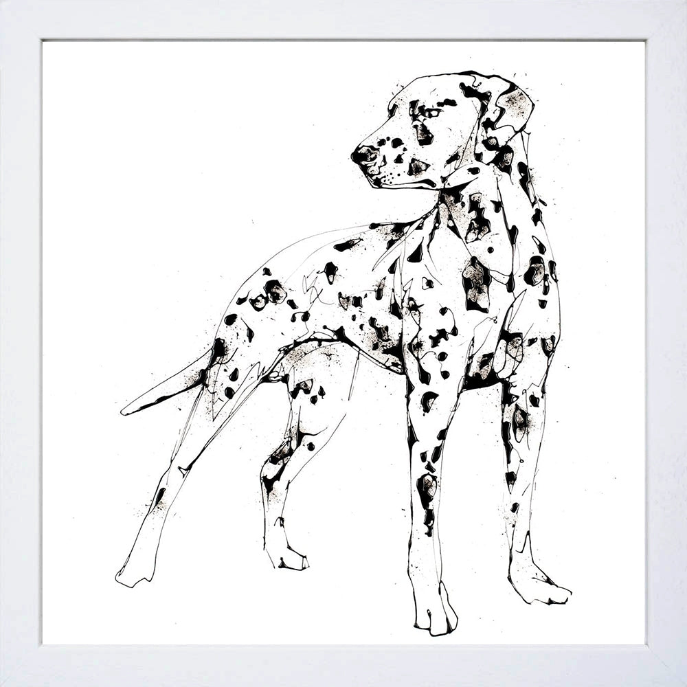 Print Open Edition Animals - Spots-Available In One Size Only-White Box Frame (No Mount)