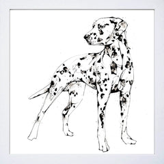 Print Open Edition Animals - Spots-Available In One Size Only-White Box Frame (No Mount)