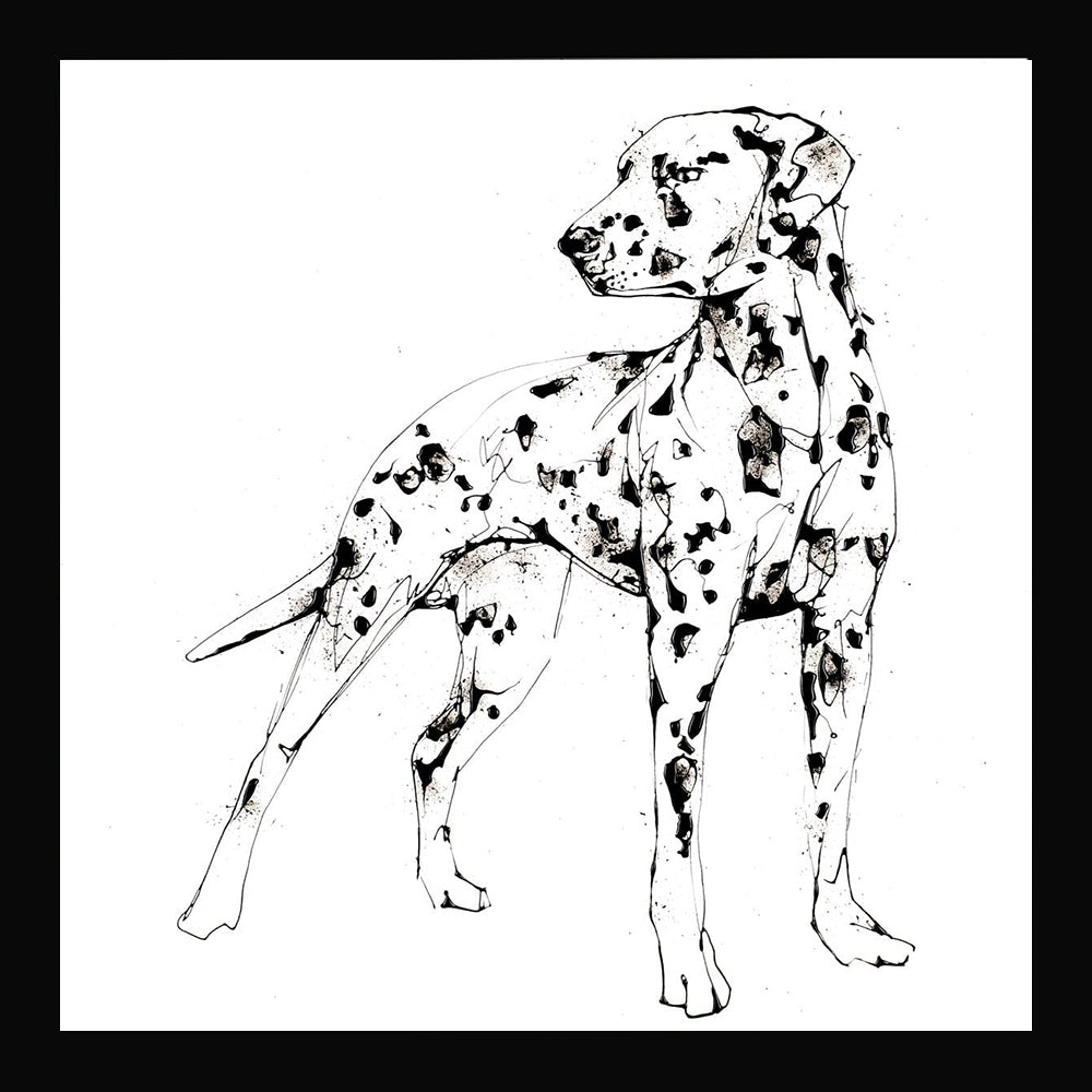 Print Open Edition Animals - Spots-Available In One Size Only-Black Box Frame (No Mount)
