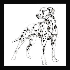 Print Open Edition Animals - Spots-Available In One Size Only-Black Box Frame (No Mount)