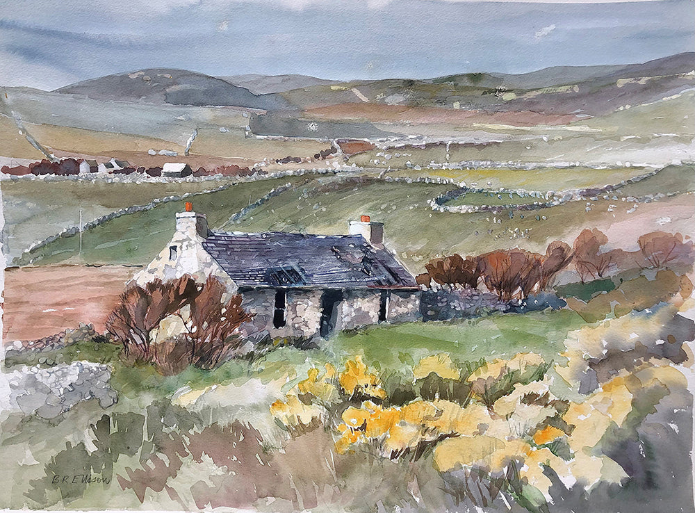 Print - Spring Day At Horn Head, Donegal