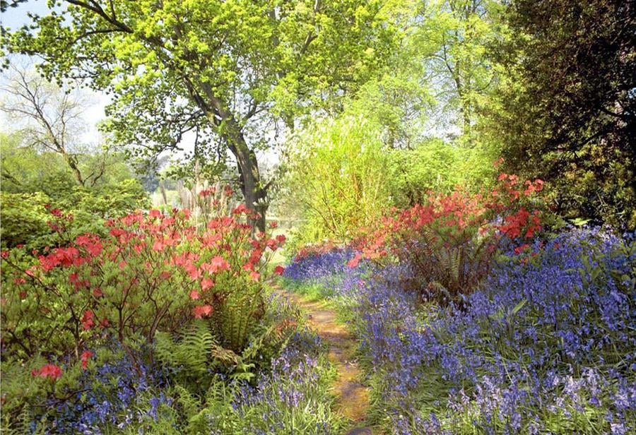 Co Down - Spring Morning Mount Stewart