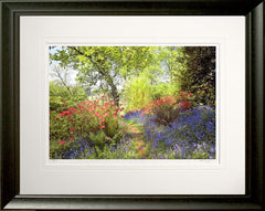 Co Down - Spring Morning Mount Stewart Frame Black Moulded 60x47.5