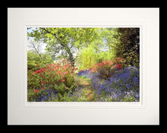 Co Down - Spring Morning Mount Stewart Flat Black Frame