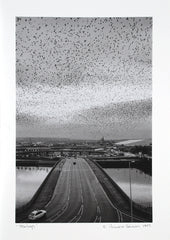 Digital Print - Starlings 1997