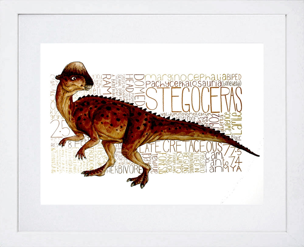 Animals - Dinosaur Stegoceras Frame White