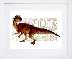 Animals - Dinosaur Stegoceras Frame White