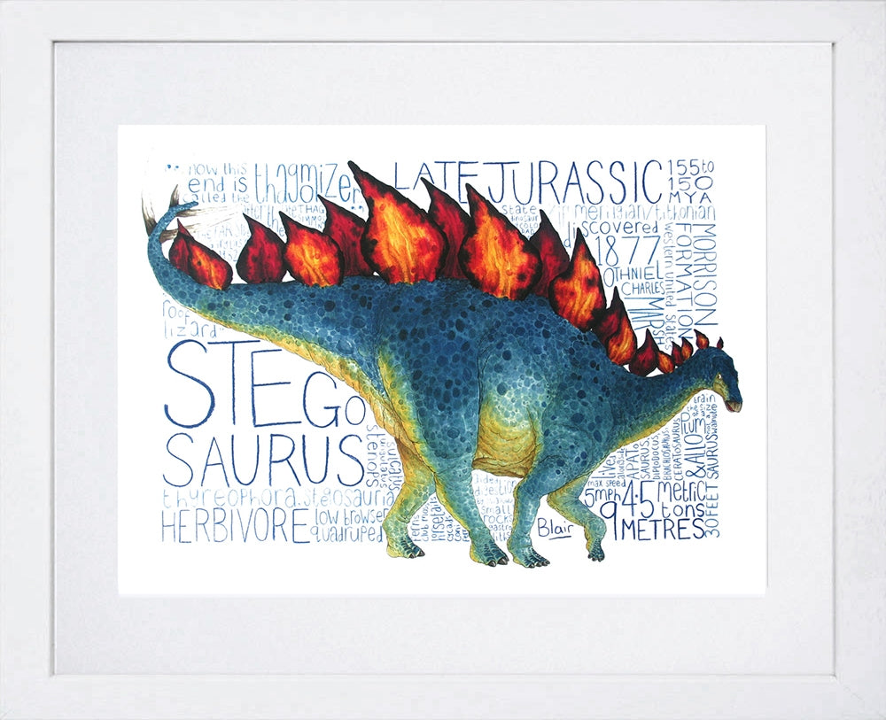 Animals - Dinosaur Stegosaurus Frame Animals- Stegosaurus Frame White