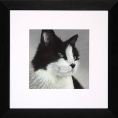 Still She Stares - Framed