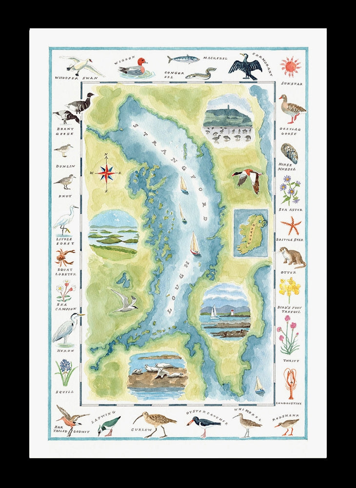 Map - Strangford Lough Wildlife - Black Frame