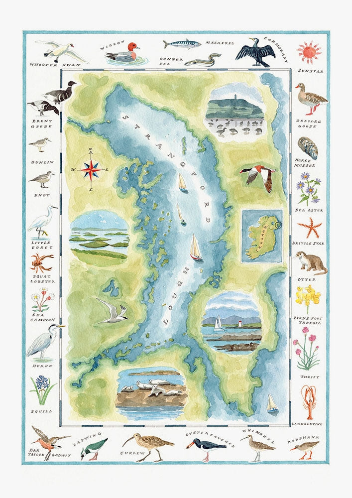 Map - Strangford Lough Wildlife