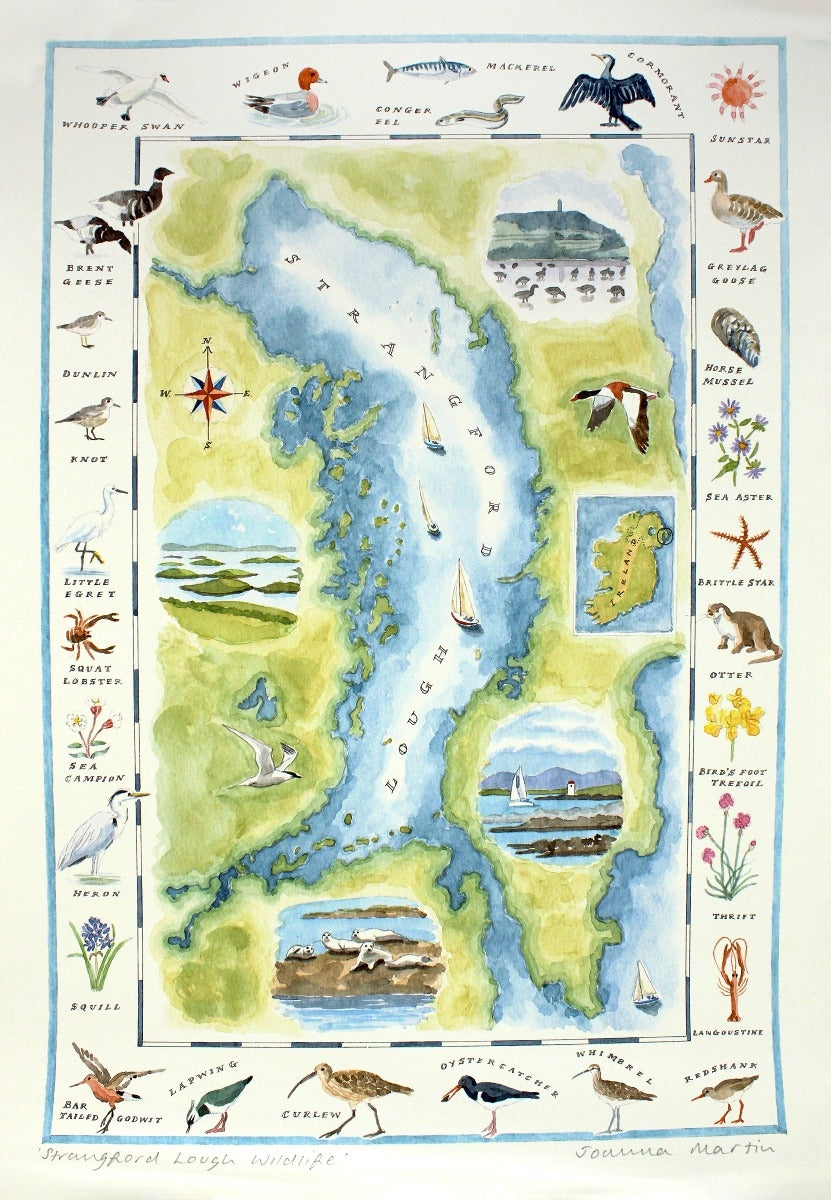 Map - Strangford Lough Wildlife - Unframed