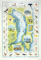 Map - Strangford Lough Wildlife - Unframed