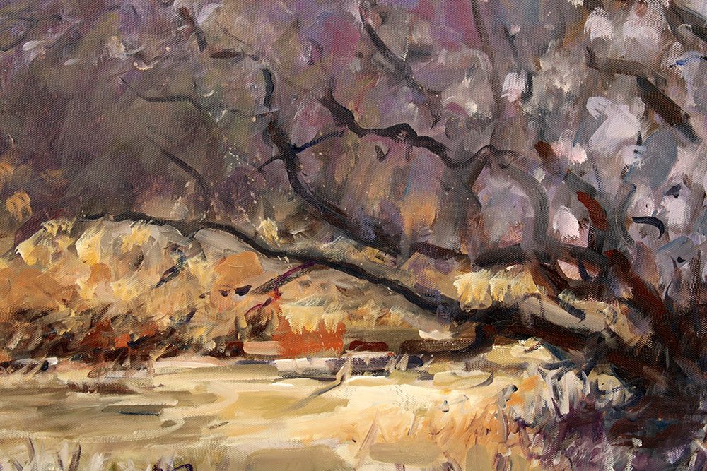 Summer Bloom, Lagan Valley